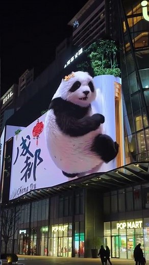 Amazing 3D Billboard Exhibition in Chengdu | Stunning Giant Panda Display