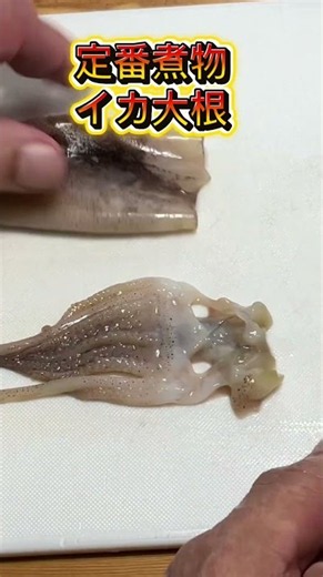 イカ大根煮付け 美味しから #shortsfeed #今日の晩ごはん #cooking #時短節約 #簡単レシピ #煮る #料理練習