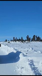 7.1K views · 121 reactions | Feel the thrill of travelling in the...