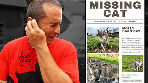 The Mystery of Molly Murder Mittens: Our Missing Farm Cat