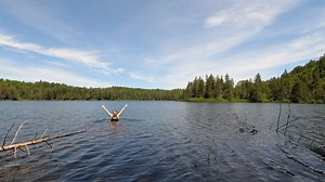 Complete Guide to Hiking the Western Uplands Backpacking Trail (Inner Loop)