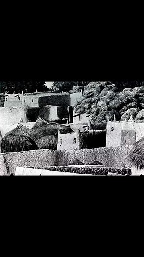 The Original Hausa Boy on TikTok