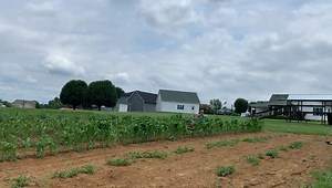 158K views · 6.8K reactions | Planting a garden step 2 . **Wearing our BP shirt  Bass Pro Shops Getting it done ✔️. | Life According to Jake Boone | Facebook
