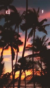 Aloha creates space within | The Kū Project