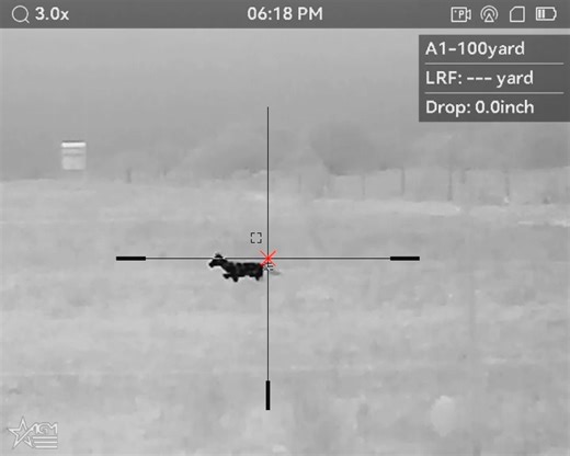 Catch the Thrill: Thermal Scope Adventures