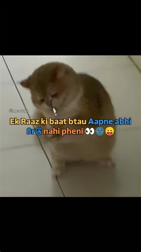 ~ 𝙼 𝙴 𝙾 𝚆 ~ 🐱 on Instagram: "- Love Memes - Romantic Memes - Heart Touching Memes - Love Quotes Memes - Funny Love Memes - Romantic Comedy Memes - Love Failure Memes - Valentine's Day Memes - Love You Memes - Bollywood Love Memes - Indian Love Stories Memes - Couple Goals Memes - Love Shayari Memes (for Hindi love quotes) - Sad Love Memes - Heartbreak Memes - Missing You Memes - Forever Love Memes #LoveMemes #Loveyou #RomanticMemes #CoupleGoals #HeartTouchingMemes #trendingreels #fypシ #inst