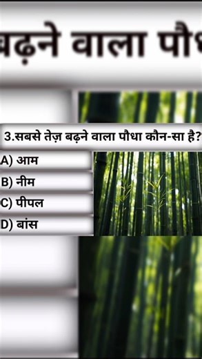 टॉप 10 क्वेश्चन इन जीके 🤔🤔💓#gk #facts #gkquiz #gkgeneralknowledge