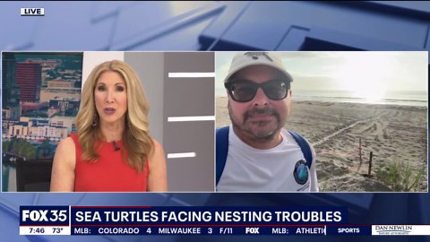 Bad beach behavior causing trouble for sea turtle nesting