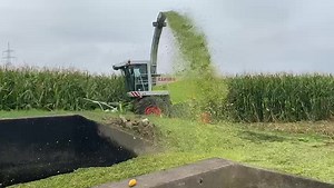 466K views · 2.9K reactions | „Der kürzeste Weg ins Silo ;)“, schreibt Jürgen Hofmann zu dem #Claas Jaguar 830 #HandyVideo per Nachricht. | profi | Facebook
