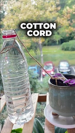 3 Watering Methods Every Plant Parent Must Know