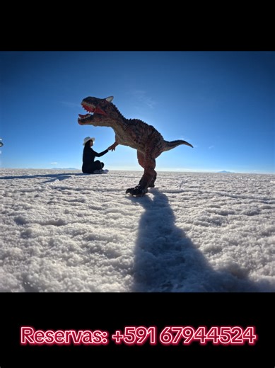 ¡Vive la magia del Salar de Uyuni en Semana Santa! 🌟 Disfruta de: - Atardeceres inolvidables - Paisajes surrealistas - Aventuras en 4x4 - Noche de estrellas Reserva ahora y haz de tu feriado un recuerdo eterno 😊 #viralvideo #turismo #atardecer #salardeuyuni #aventura