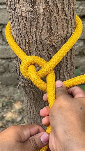 The King Of Knots Ever !