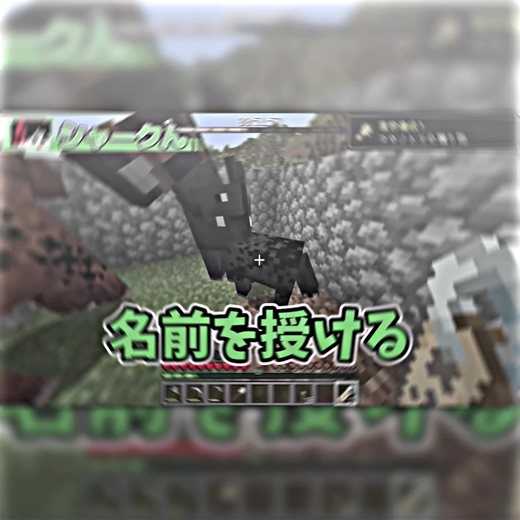 《繋がり会》 自発超苦手な自分にお友達ください！ 週1投稿目標 コメ返は1週間程経ってからすることがあります フォロバ報告DMはします 把握会やるのでDMでの挨拶なしでおっけーです！！(してくれても大丈夫です嬉しいです🥳🥳) IB_@ぴいち #モノパス #シャークん #アライトモーション #編集 #繋がり会