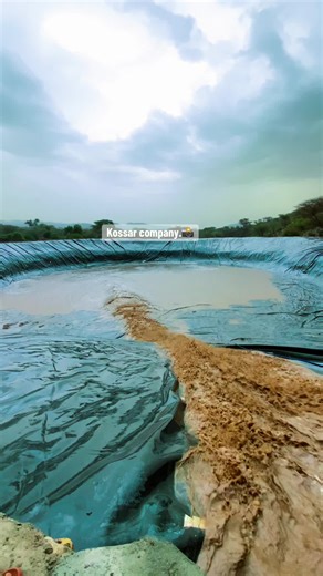 Dhaamka Caga Wayne: A Somali TikTok Sensation