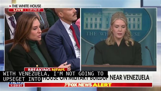 Mary Bruce Grills Karoline Leavitt On Expiring Healthcare Subsidies