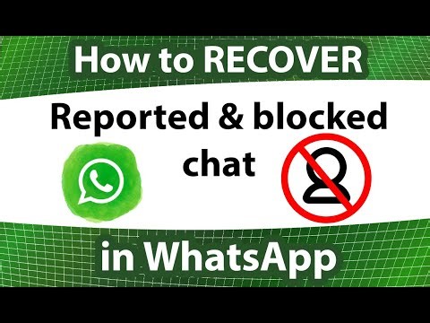 How to RECOVER reported chat in WhatsApp