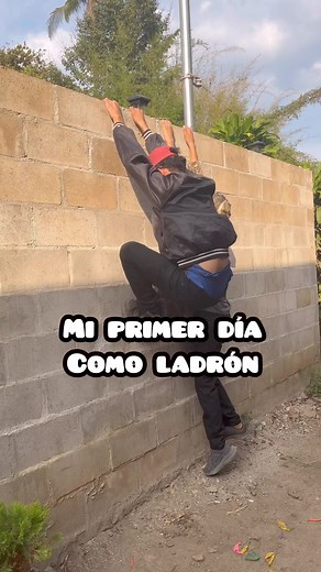 222K views · 7.5K reactions | PET Food Express - Sucursal La Novena, esquina opuesta, almacenes BOU. Santa Ana | Don Vitelio | Facebook