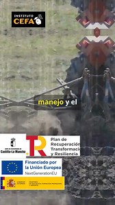 3.2K views · 20 reactions |  ¡Curso 100% Financiado!  Gratuito...