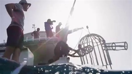 (हिंदी) Shark Attack Test- Human Blood vs. Fish Blood | Mark Rober हिंदी