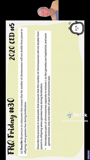 ✨AP Bio FRQ Friday 30 (CED 2020 #5)✨ Topics: Meiosis & Pedigree #apbio #apbiology #apbiofrqfriday #frqfriday #studywithme #meiosis #pedigree #autosomalrecessive #recessive #autosomal #genetics