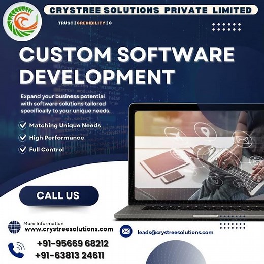 Unlock Your Business Potential with Custom Software Development | Crystree Solutions