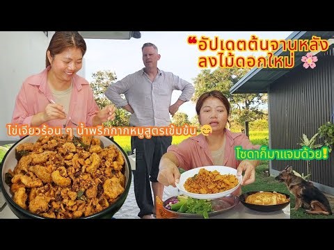 "Update on the new flowerbed after planting new plants🌸 Soda also joined in! For lunch today, hot...