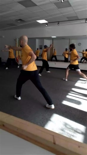 Qigong is not just about cultivating and strengthening qi. We must also know how to direct and utilize this qi where and when its needed. For example, when we need to punch/ kick with full power or pick up heavy objects. After practicing the breathwork (which generates qi and dissolves blockages), we will finish class with drills to send qi where needed. However, you don't have to be a martial artist to take our qigong class. This improved qi will lead to increased circulation, balanced emotions