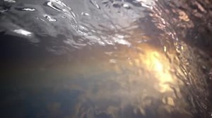 1K views · 39 reactions | The 21 VLX offering the ultimate versatility and convenience. With detailed fit & finish, the 21 VLX offers extreme performance & extreme value at $87,495* https://www.malibuboats.com/boat/lx-series/wakesetter-21vlx #malibuboats #thetruthisonthewater #21vlx | Malibu Boats | Facebook