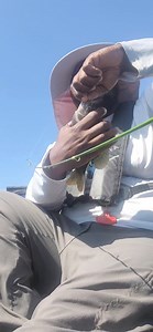 How to measure your bluegill correctly! | Fishing Ken