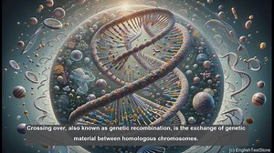 Crossing over in biology