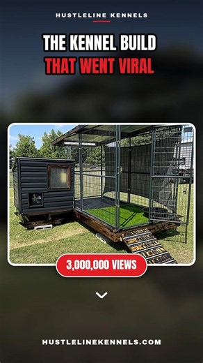 Why This Kennel Build Went Viral 👀 | HustleLineKennels.com