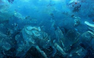 Are pants acceptable to wear to a wedding? [2025] | QAQooking.wiki