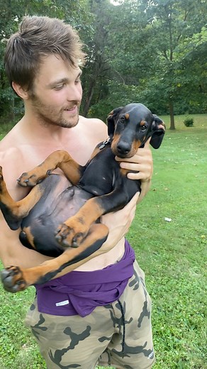 Hulk was such a cutie puppy 🐶 look at that face. #Dogs #pets #love | Cody’s collaborations