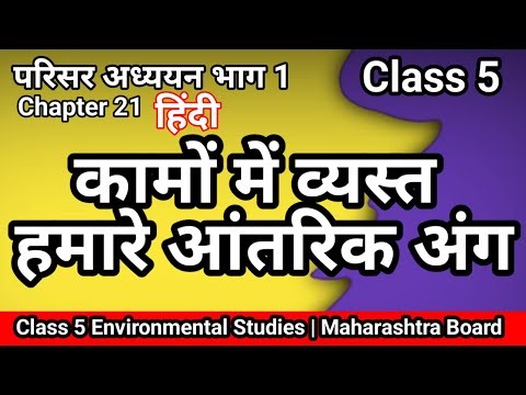 5 Science Hindi कामों में व्यस्त हमारे आंतरिक अंग