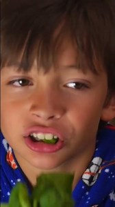 Johny Johny, Yes Papa | BEST Songs for Kids #shorts #johnyjohnyyespapa #johnyjohny