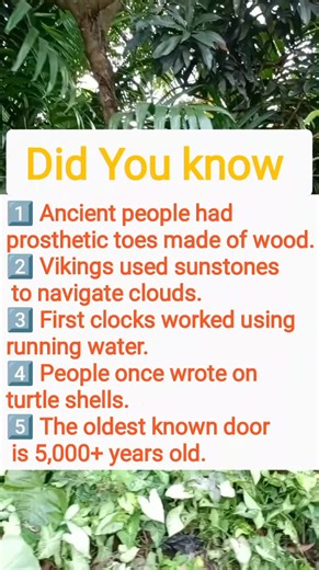 History & Artifacts That Changed Everything #facts #DidYouKnow | IQ&Math 2.2 | Facebook