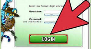 Neopets How To Get Neopoints