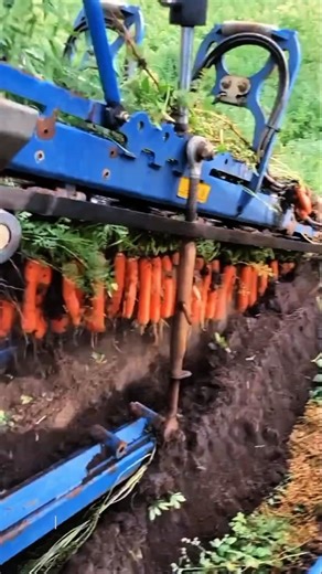 🌱Super Schnell & Modern! 🚜🥕