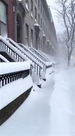 Blizzard: Severe Snowstorm System