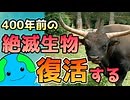 400年前の絶滅生物が復活する！！【オーロックス】