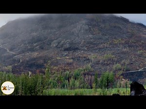 Massive Wildfire Exposes New Gold, Silver & Copper Bearing Showings!
