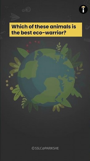 EARTH Day Quizzes Are The BEST Way To Celebrate