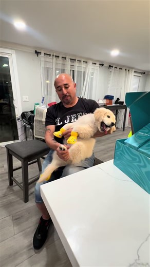 #fyp #parati #crocs #pet #shoes | Crocs