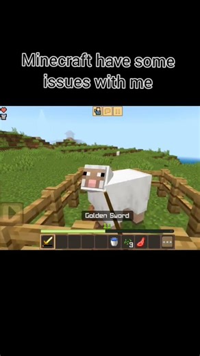 Minecraft have some issues with me 🥲😅