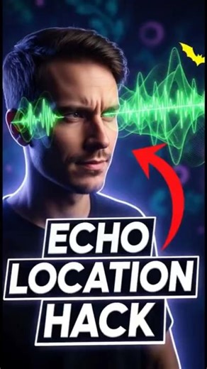 The Bat's Secret to Instant Focus.