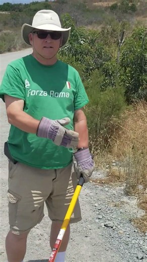 Don't panic! Safely relocating a rattlesnake #wildlife #nature #safety