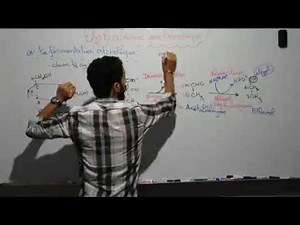 Biochimie Métabolisme des glucides Séance (6) S4-Svi