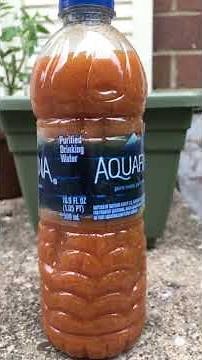 Homemade rabbit deterrent.