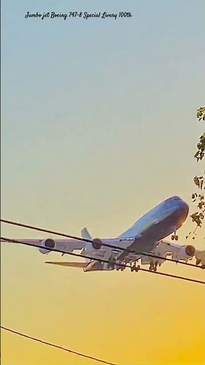 Boeing 747-8 100th Mexico #special #airport #airplane #airforce #sky #old #aviation #fly #history