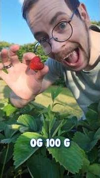Jeg laver Jordbær Sorbet Is! 🍓🍨